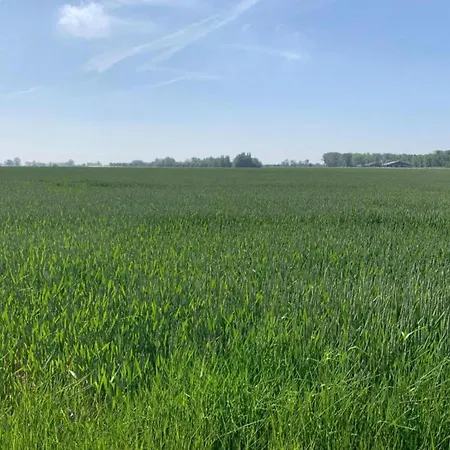 In Near The Apartman