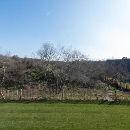 Apartman In Near The