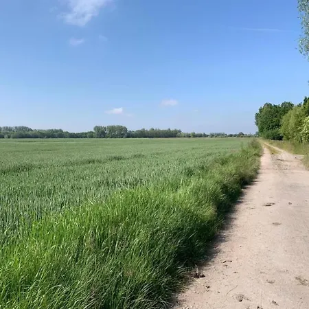 In Near The Apartman *