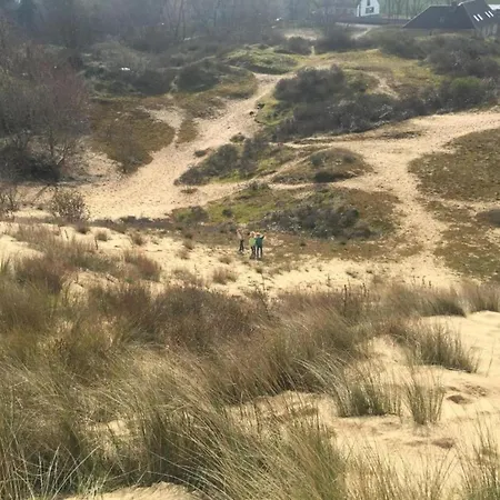 In Near The Apartman