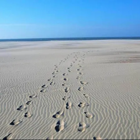 Apartman In Near The Nieuwpoort