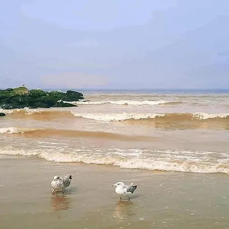 In Near The *