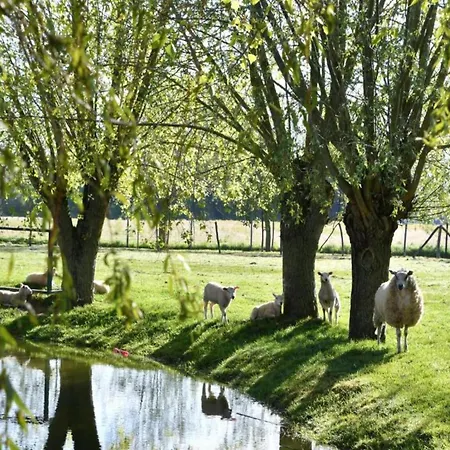 Apartman In Near The